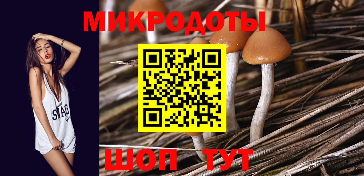 Белогорск  Псилоцибиновые грибы мицелий  Вход с VPN 